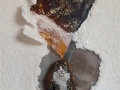 Katze, bemaltes Holzobjekt auf handgeschöpftem Papier, Draht und Acrylarbeit